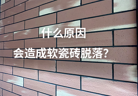 20231219134065356535 jbo竞博·(电竞)Dota2、LoL、CSGO等电较量事竞猜
